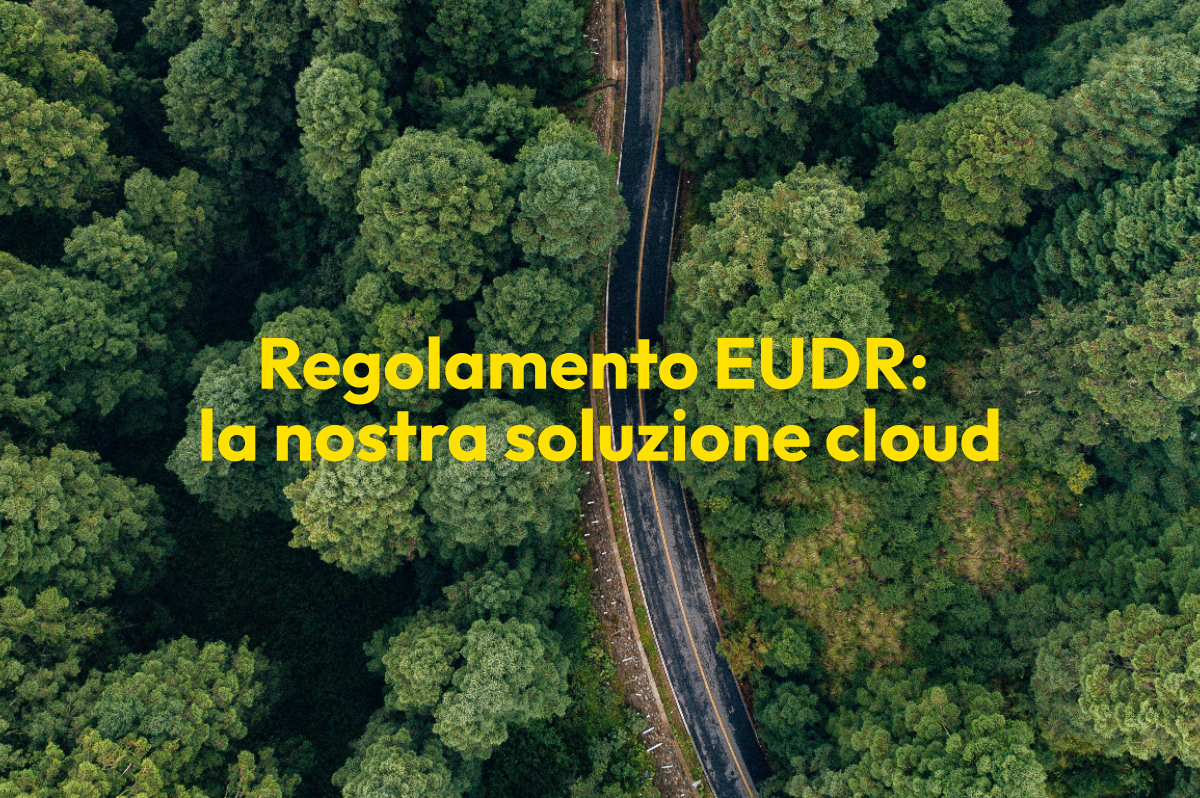 Regolamento EUDR: la nostra soluzione cloud